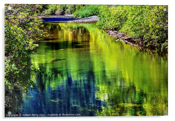 Summer Colors Green Reflection Wenatchee River Valley Washington Acrylic by William Perry