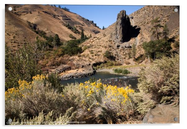 Naches River and Desert with Yellow Flowers Yakima Washington Acrylic by William Perry