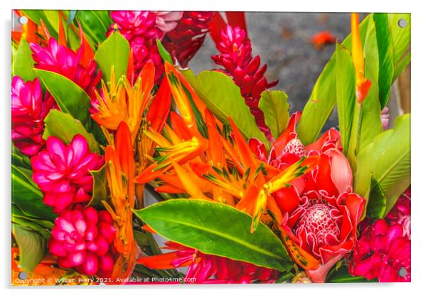 Christmas Flower Arrangement Torch Red Ginger Moorea Tahiti Acrylic by William Perry