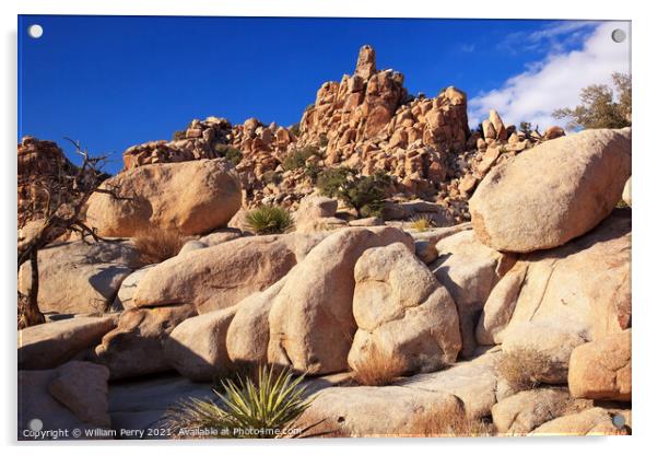 Rocks Hidden Valley Mojave Desert Joshua Tree National Park Cali Acrylic by William Perry