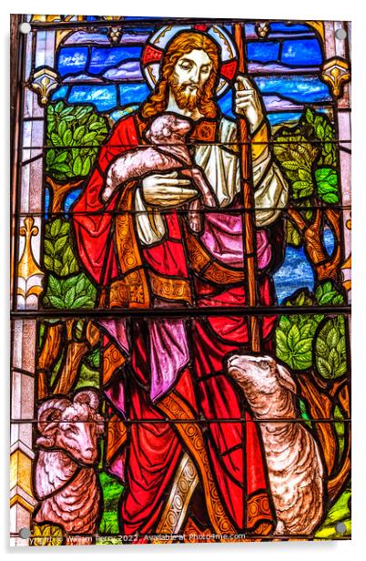 Jesus Lambs Stained Glass Church Saint Augustine Florida Acrylic by William Perry