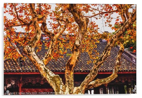 Ancient Chinese Roof Autumn Tree West Lake Hangzhou China Acrylic by William Perry