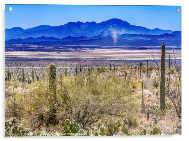 Dust Cloud Mountain Cactus Sonora Desert Muesum Tucson Arizona Acrylic by William Perry