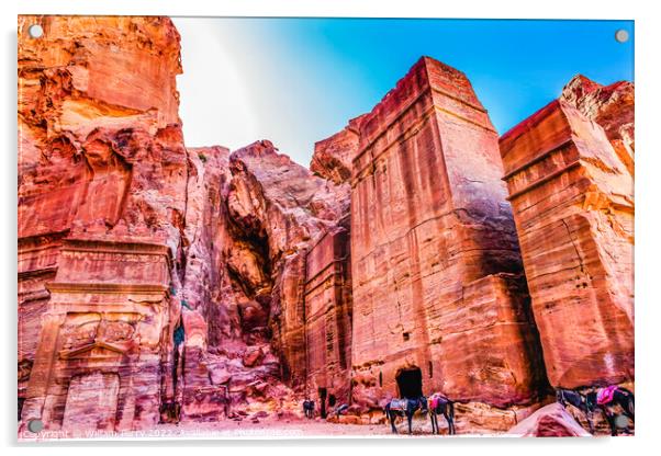Rose Red Rock Tombs Afternoon Street of Facades Petra Jordan  Acrylic by William Perry