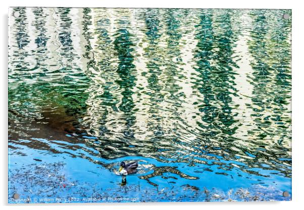Duck Inner Harbor Buildings Reflection Abstract Lucerne Switzerl Acrylic by William Perry