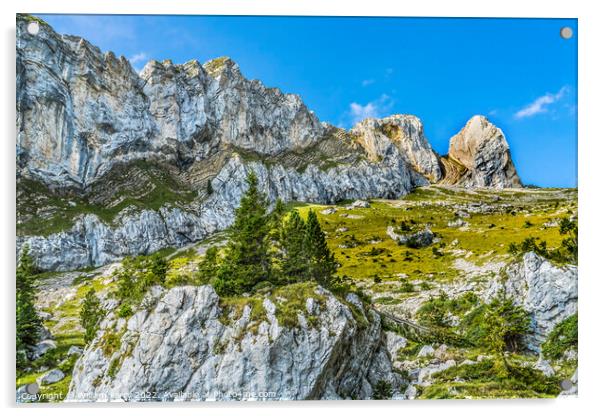Rock Cliffs Pastures Climbing Mount Pilatus Lucerne Switzerland Acrylic by William Perry