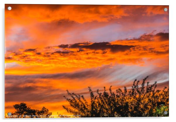 Colorful Sunset Sonora Desert Tucson Arizona Acrylic by William Perry