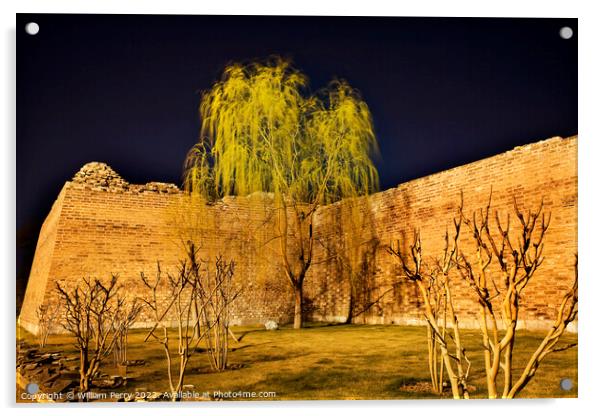 City Wall Park with Willow Tree Beijing China  Acrylic by William Perry