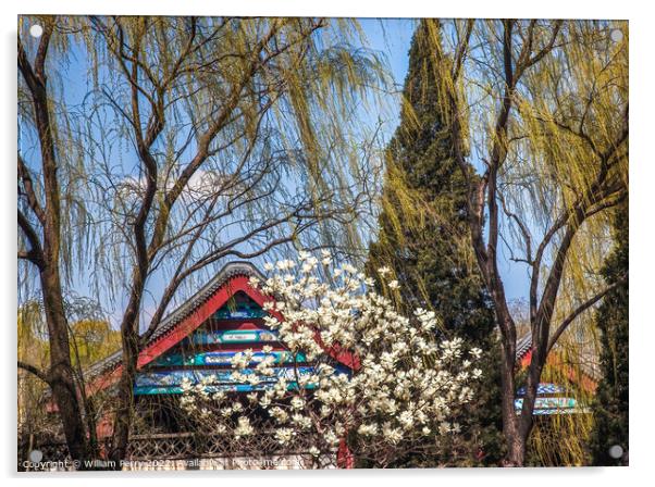 Magnolias Willows Summer Palace Beijing China Acrylic by William Perry