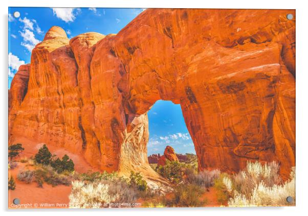 Pine Tree Arch Devils Garden Arches National Park Moab Utah  Acrylic by William Perry
