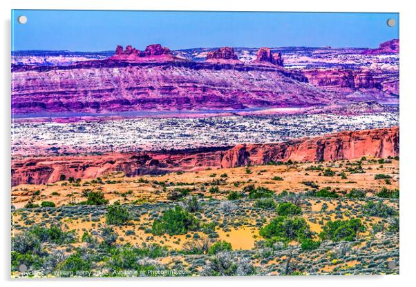 Yellow Grass Lands Moab Fault Arches National Park Moab Utah  Acrylic by William Perry