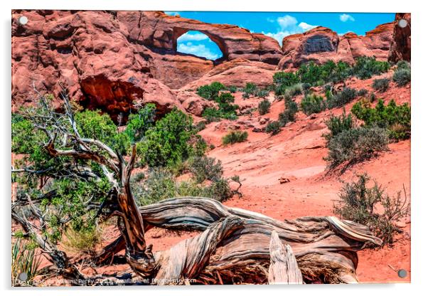 Red Brown Skyline Arch Rock Canyon Arches National Park Moab Uta Acrylic by William Perry