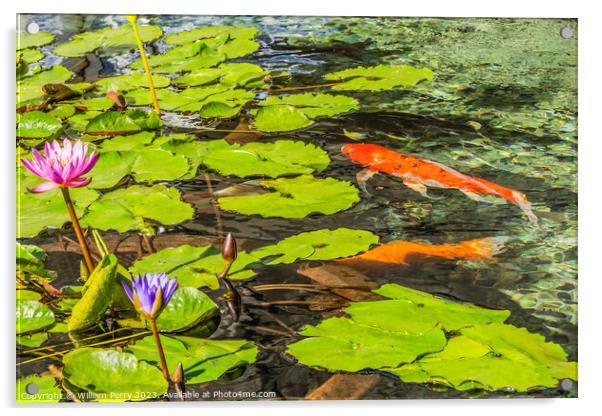 Orange Carp Koi Fish Water Lillies Waikiki Oahu Hawaii Acrylic by William Perry