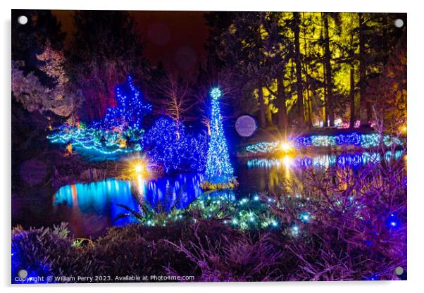 Christmas Lights Van Dusen Garden Vancouver British Columbia Acrylic by William Perry
