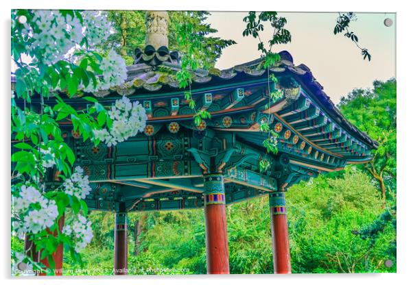 Korean Pagoda Apple Blossoms Van Dusen Garden Vancouver Canada Acrylic by William Perry