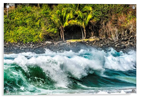 Colorful Large Wave Rocks Waimea Bay North Shore Oahu Hawaii Acrylic by William Perry