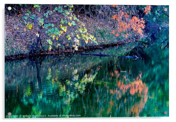 Orange Fall Leaves Green Reflection Autumn Habikino Osaka Japan Acrylic by William Perry