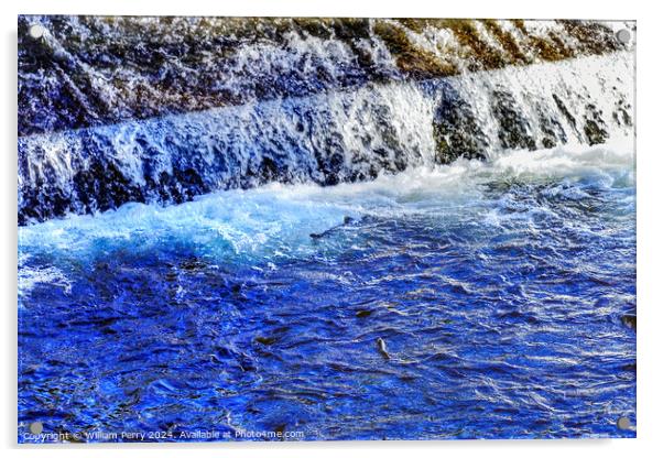 Multi-colored Salmon Dam Issaquah Creek Wahington  Acrylic by William Perry