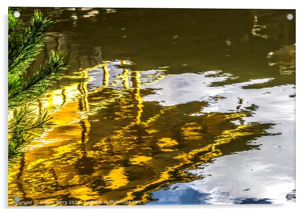 Water Reflection Abstract Garden Kinkaku-Ji Golden Temple Japan Acrylic by William Perry
