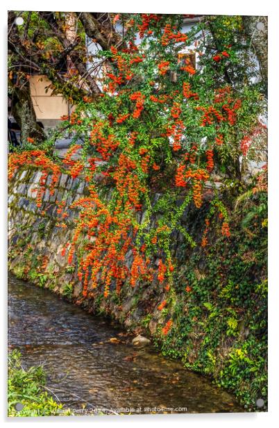 Orange Berries Fall Philosopher's Walk Canal Kyoto Japan Acrylic by William Perry