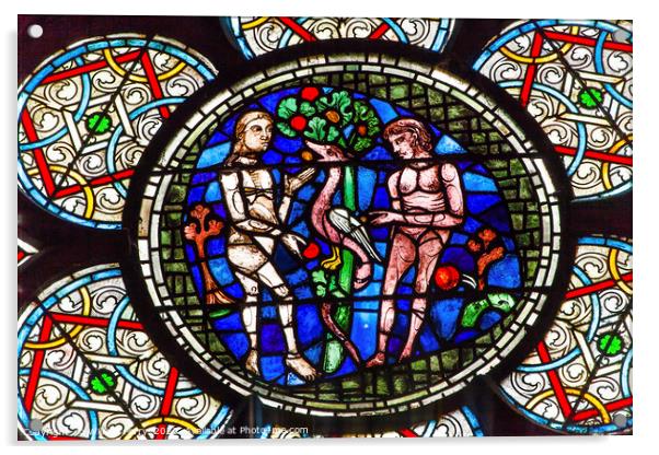 Adam Eve Stained Glass Notre Dame Cathedral Paris  Acrylic by William Perry