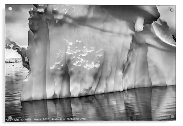 Black White Iceberg Reflection Paradise Bay Antart Acrylic by William Perry