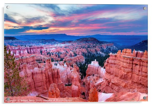 Thor's Hammer Sunset Point Bryce Canyon National P Acrylic by William Perry