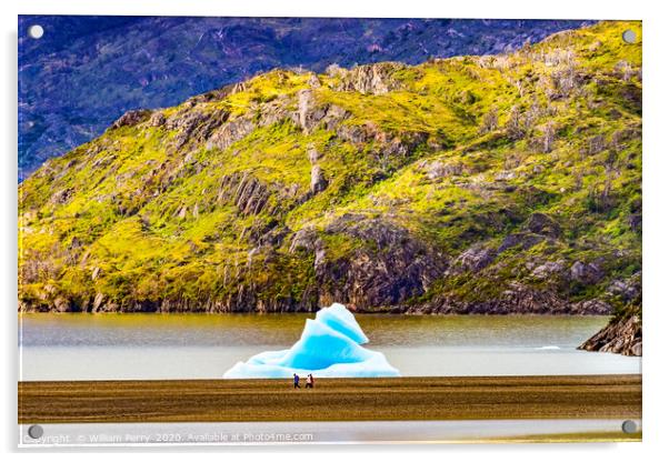 Blue Iceberg Grey Lake Torres del Paine National P Acrylic by William Perry