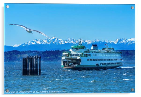 Seagull Washington State Ferry Olympic Mountains E Acrylic by William Perry