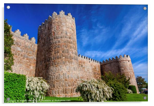 Avila Turrets Castle Walls Cityscape Castile Spain Acrylic by William Perry