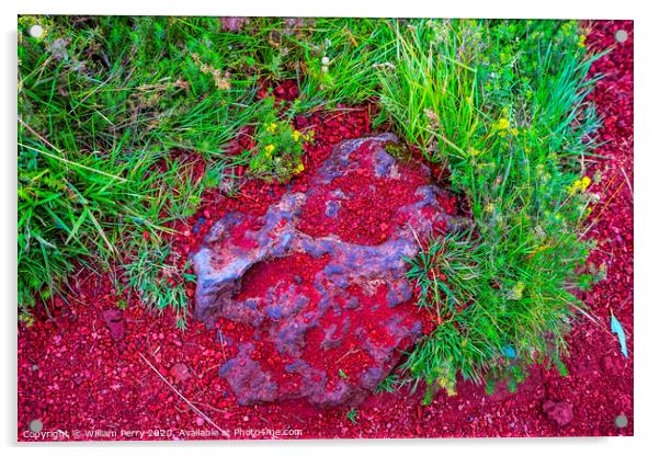 Red Volcanic Stone Kerio Volcano Crater Lake Iceland Acrylic by William Perry