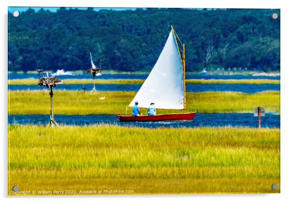 Colorful Cat Sailboat Wesport River Massachusetts Acrylic by William Perry