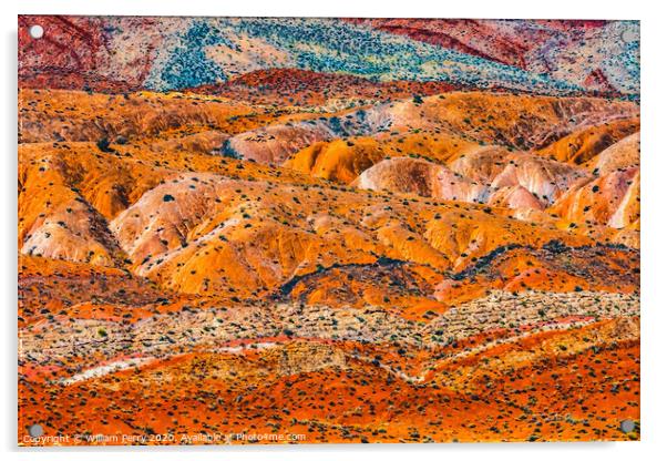 Colorful Canyon Rock Formation Mexican Hat Monument Valley Utah Acrylic by William Perry
