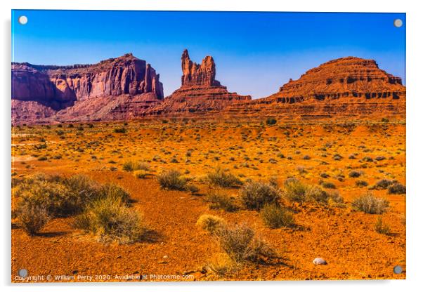 Sitting Hen Rock Formation Canyon Cliff Monument Valley Utah Acrylic by William Perry