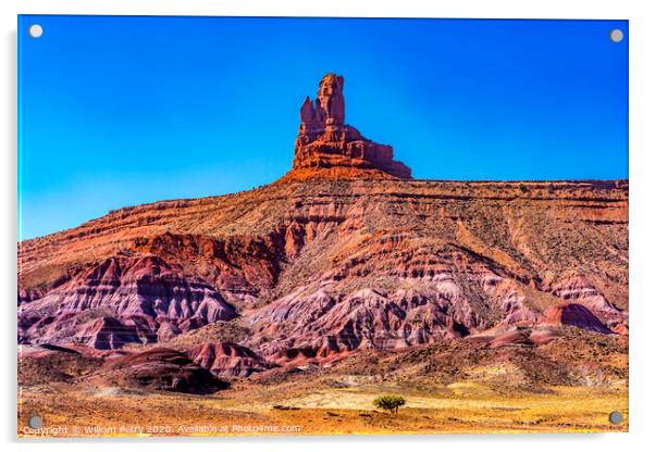 Sitting Hen Rock Formation Canyon Cliff Monument Valley Utah Acrylic by William Perry