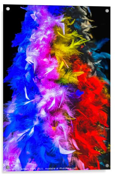 Colorful Feathers Necklaces Mardi Gras New Orleans Louisiana Acrylic by William Perry