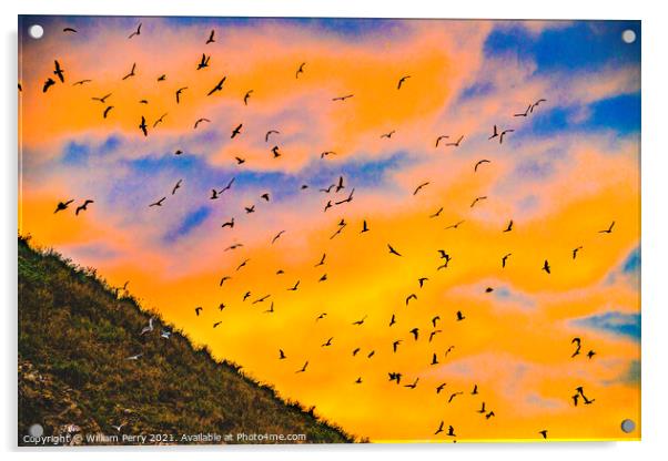 Colorful Sunset Sea Birds Haystack Rock Canon Beach Oregon Acrylic by William Perry
