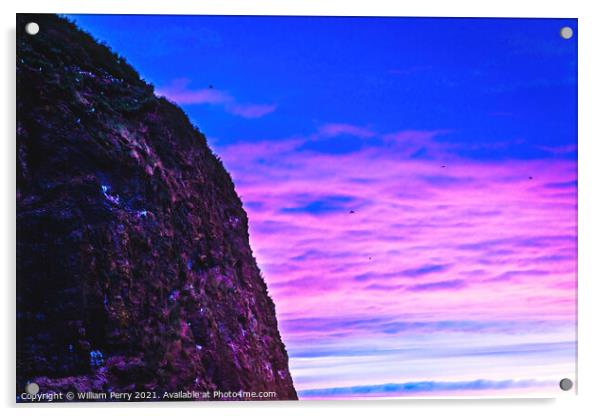 Colorful Sunset Sea Birds Haystack Rock Canon Beach Oregon Acrylic by William Perry