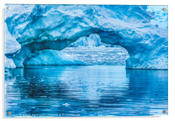 Blue Iceberg Arch Reflection Paradise Bay Antarctica Acrylic by William Perry