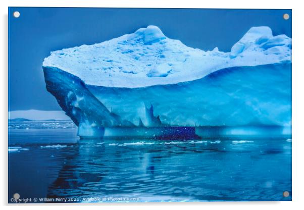 Snowing Blue Iceberg Paradise Bay Antarctica Acrylic by William Perry