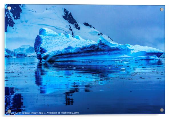 Floating Blue Iceberg Reflection Paradise Bay Antarctica Acrylic by William Perry