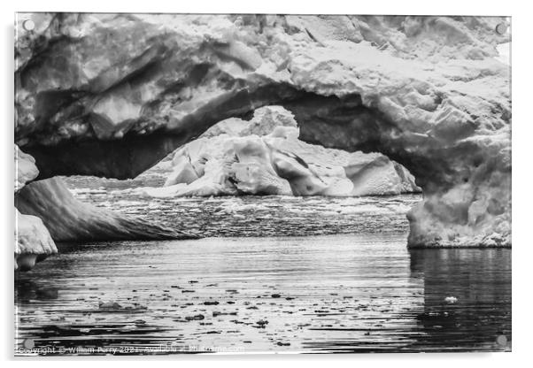Black White Floating Blue Iceberg Arch Reflection Paradise Bay S Acrylic by William Perry