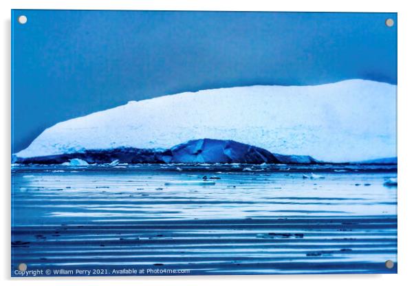 Snowing Floating Blue Iceberg Reflection Paradise Bay Antarctica Acrylic by William Perry