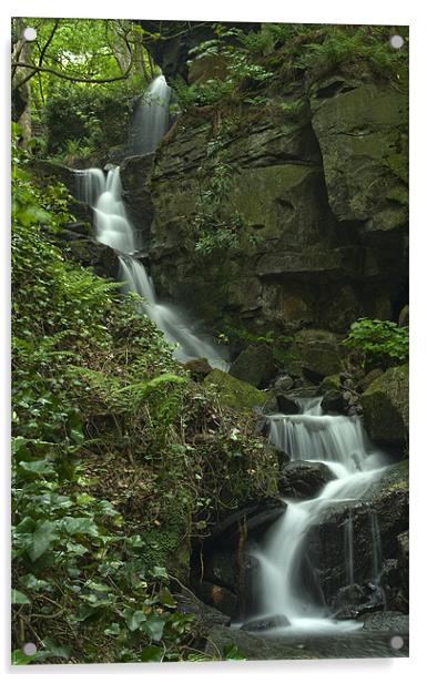 Lumsdale Valley Falls Acrylic by Wayne Molyneux