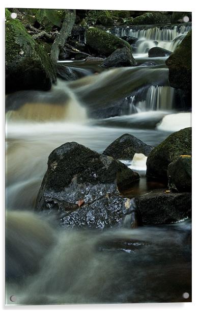 Babbling Burbage Brook Acrylic by Wayne Molyneux