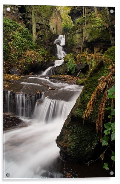 Lumsdale Valley Falls Acrylic by Wayne Molyneux