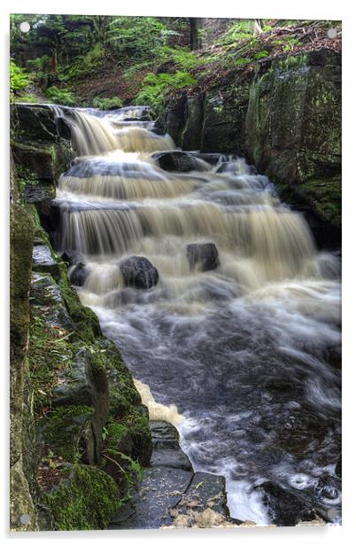 Lumsdale Valley Falls Acrylic by Wayne Molyneux