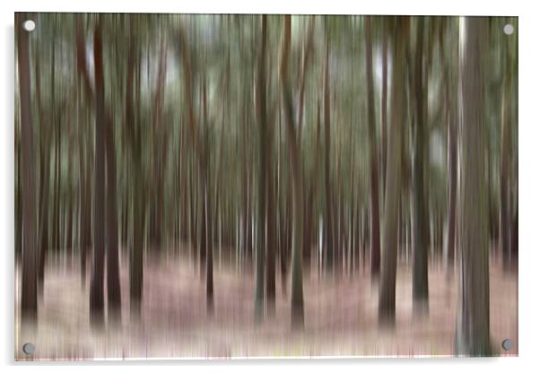 Pine Trees at Formby Acrylic by Wayne Molyneux