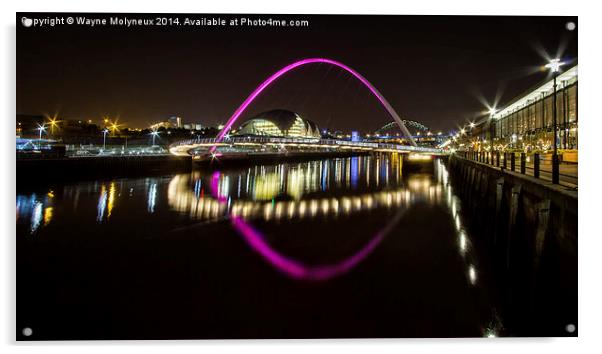 Tyne Bridges & The Sage Acrylic by Wayne Molyneux