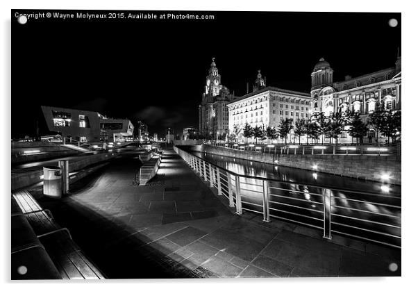 Liverpool at night Acrylic by Wayne Molyneux